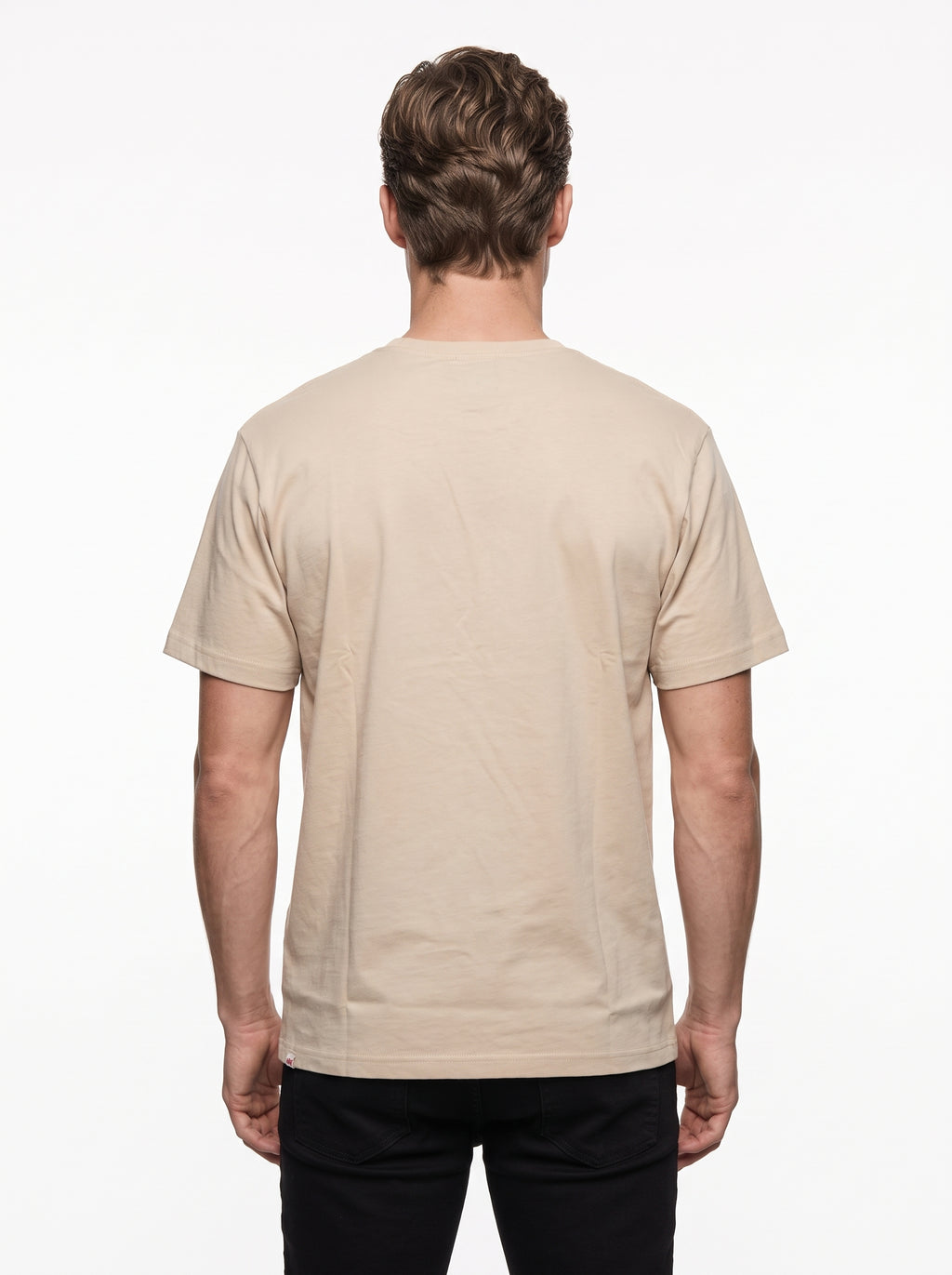 IRON AND RESIN T-SHIRT LOGGING TEE COLOR FIELD TAN 100% COTONE JERSEY 260g