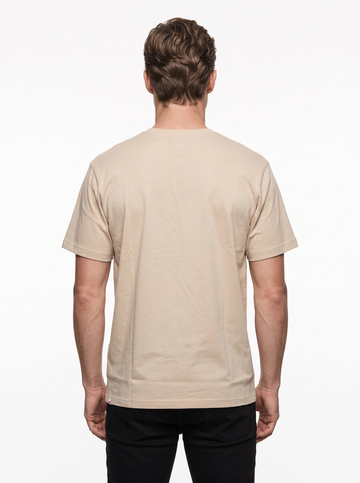 IRON AND RESIN T-SHIRT LOGGING TEE COLOR FIELD TAN 100% COTONE JERSEY 260g