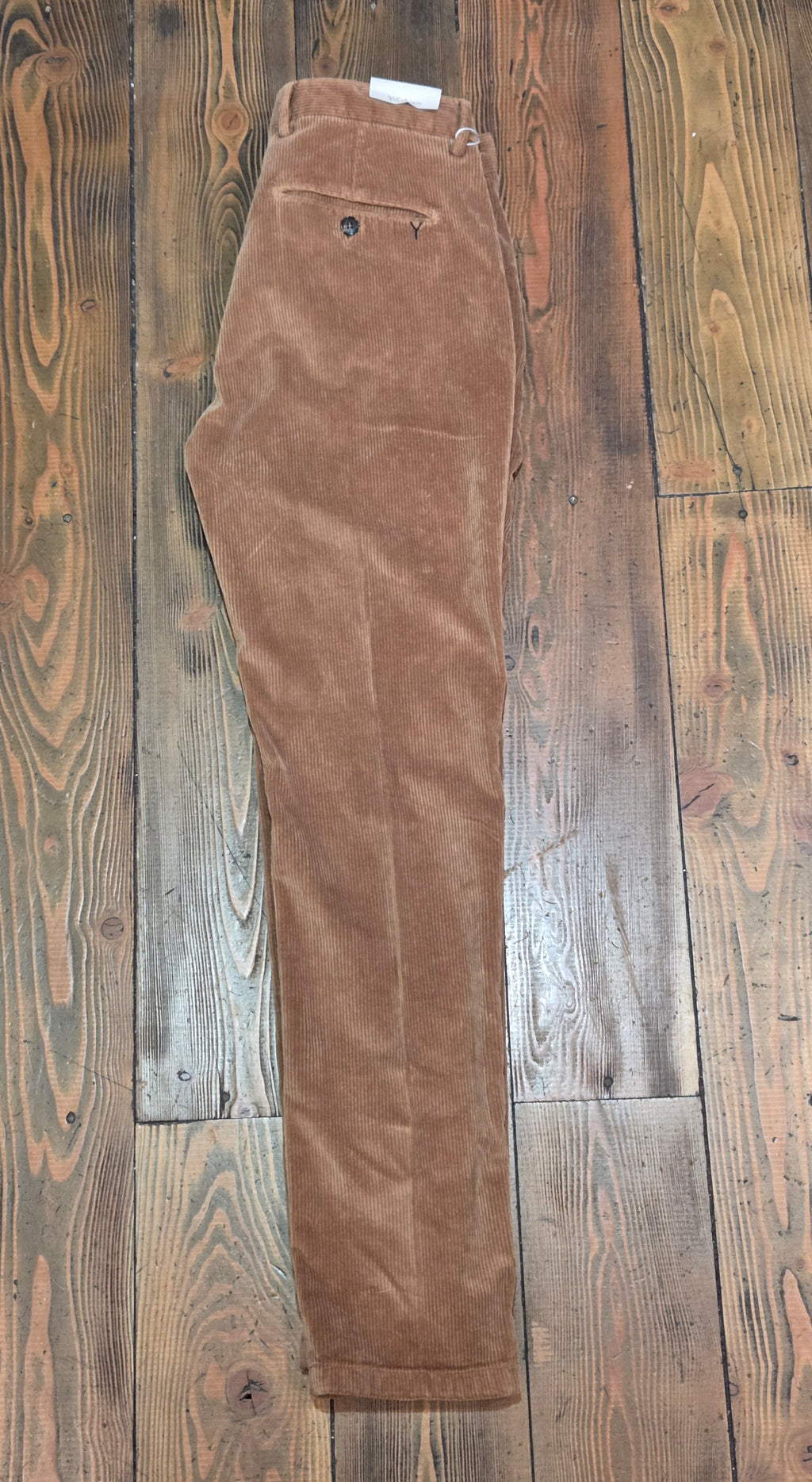 PANTALONI YAN SIMMON MODELLO WORLD AI25 T510W COLOR NOCCIOLA