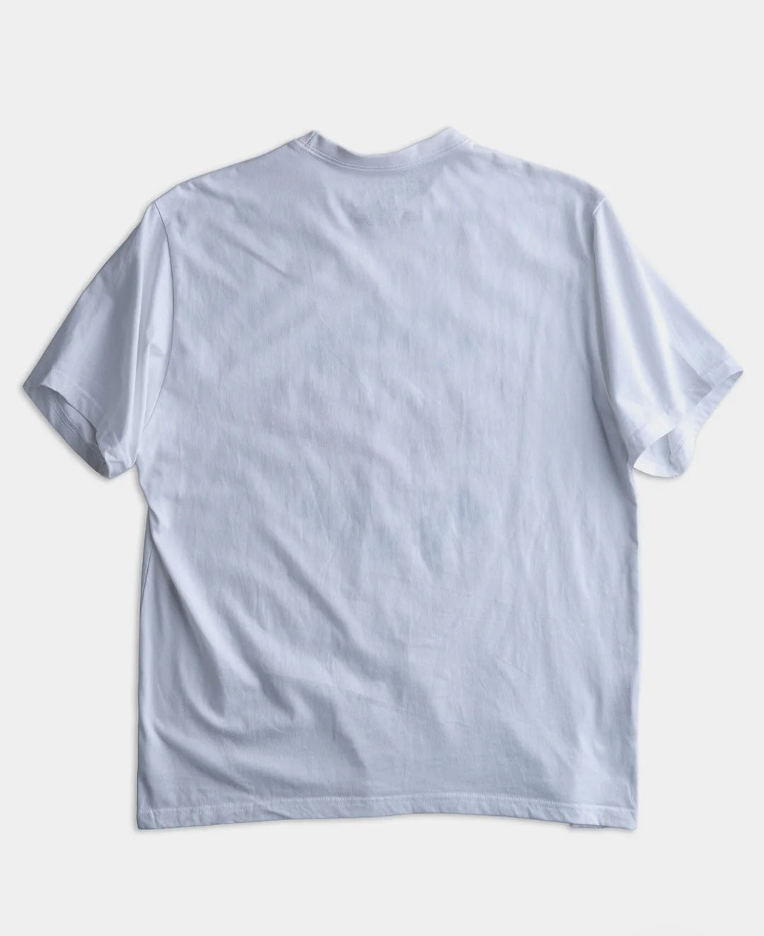 IRON AND RESIN T-SHIRT FREEBIRD TEE COLOR WHITE COMBED COTTON 180g