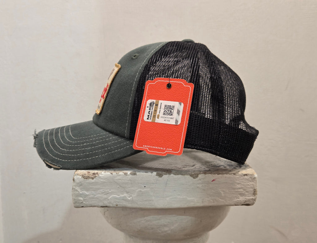 CAPPELLO AMERICAN NEEDLE ORVILLE MACK TRUCKS COLOR VERDE