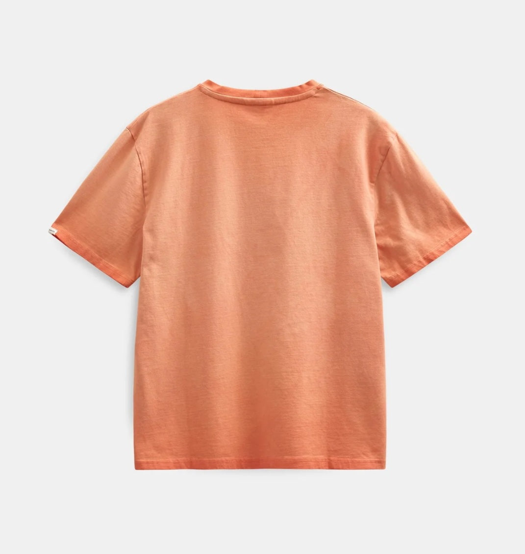 T-SHIRT ANERKJENDT AKVILLADS WASHED TEE ORANGE TIGER